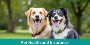 Insights on pet insurance trend: what you need to know